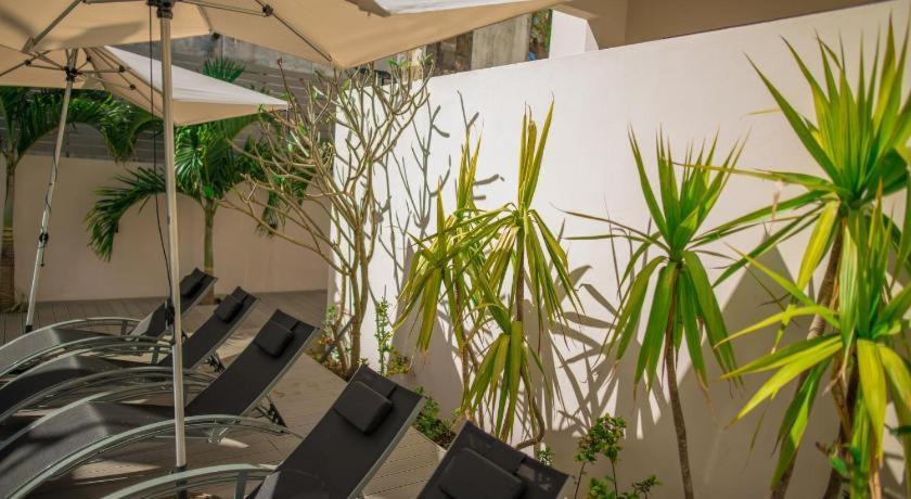 Luxury 2-bedroom With Shared Pool 2 Mins To Pereybere * Pereybere Beach